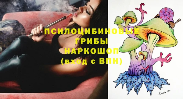 амф Новодвинск